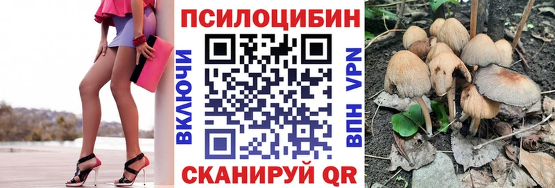 Псилоцибиновые грибы Cubensis  Курск 