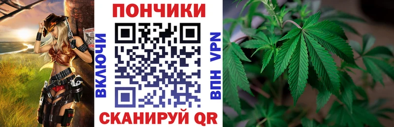 Бошки Шишки семена Курск